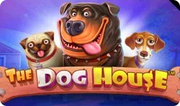 Quick Win Casino offre il gioco online The Dog House